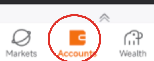 Close-up — the Accounts tab